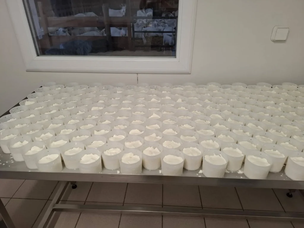 Lo Chuc e lo Muc, Café- Épicerie de Barre des Cévennes, labo de de Géraldine Bender pour les pélardons de Saint Flour du Pompidou